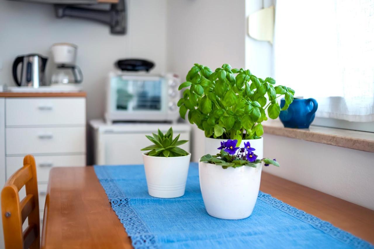 Banko Apartments Rovinj Bagian luar foto